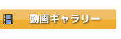 大会動画・ムービーギャラリーはこちらから